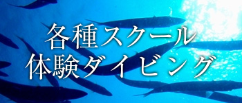 各種スクール・体験ダイビング